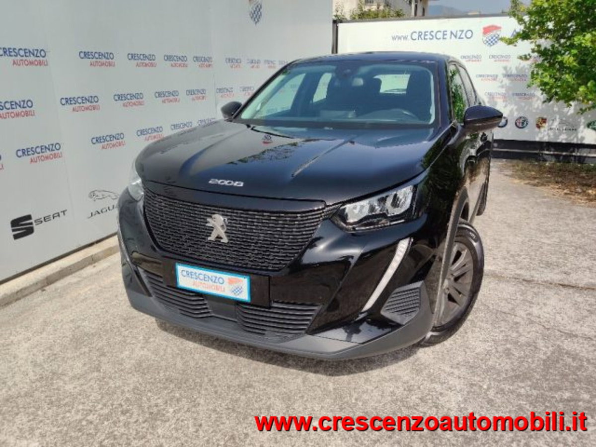 Peugeot 2008 BlueHDi 110 S&S GT (3)