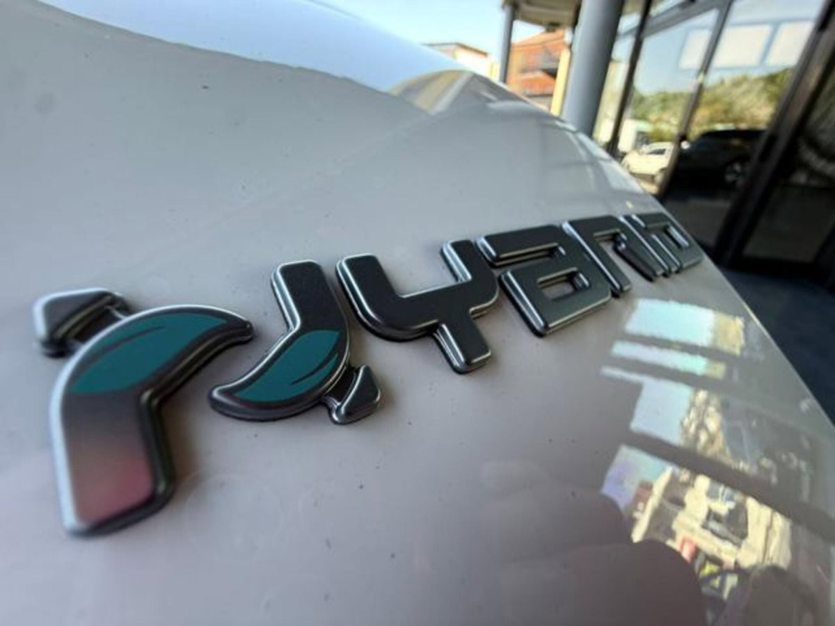 Fiat 500 1.0 Hybrid Dolcevita (16)