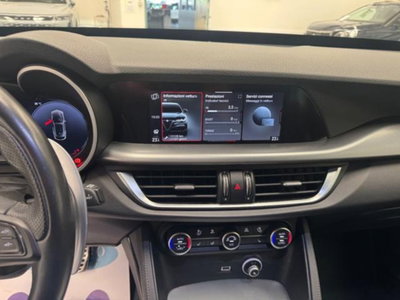 Alfa Romeo Stelvio Stelvio 2.2 Turbodiesel 210 CV AT8 Q4 Veloce (15)
