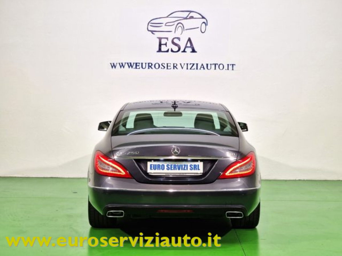 Mercedes-Benz CLS 250 CDI BlueEFFICIENCY (10)