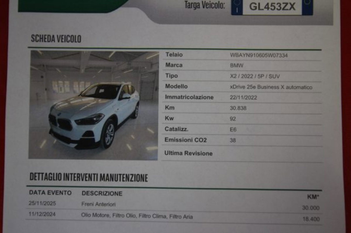 BMW X2 xDrive25e Business-X (9)