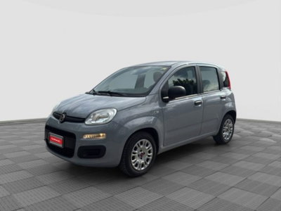 Fiat Panda Cross Cross 1.0 FireFly S&S Hybrid usata