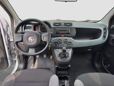 Fiat Panda Cross Cross 1.0 FireFly S&S Hybrid (11)