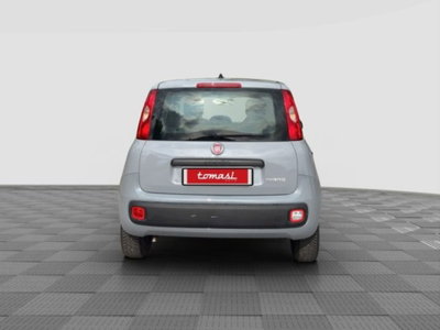 Fiat Panda Cross Cross 1.0 FireFly S&S Hybrid (4)