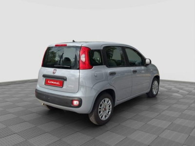 Fiat Panda Cross Cross 1.0 FireFly S&S Hybrid (5)