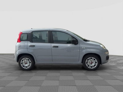 Fiat Panda Cross Cross 1.0 FireFly S&S Hybrid (6)