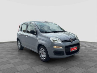 Fiat Panda Cross Cross 1.0 FireFly S&S Hybrid (7)