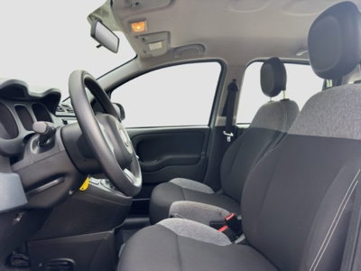 Fiat Panda Cross Cross 1.0 FireFly S&S Hybrid (9)