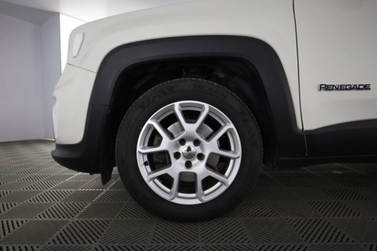 Jeep Renegade 1.3 T4 DDCT Limited (8)