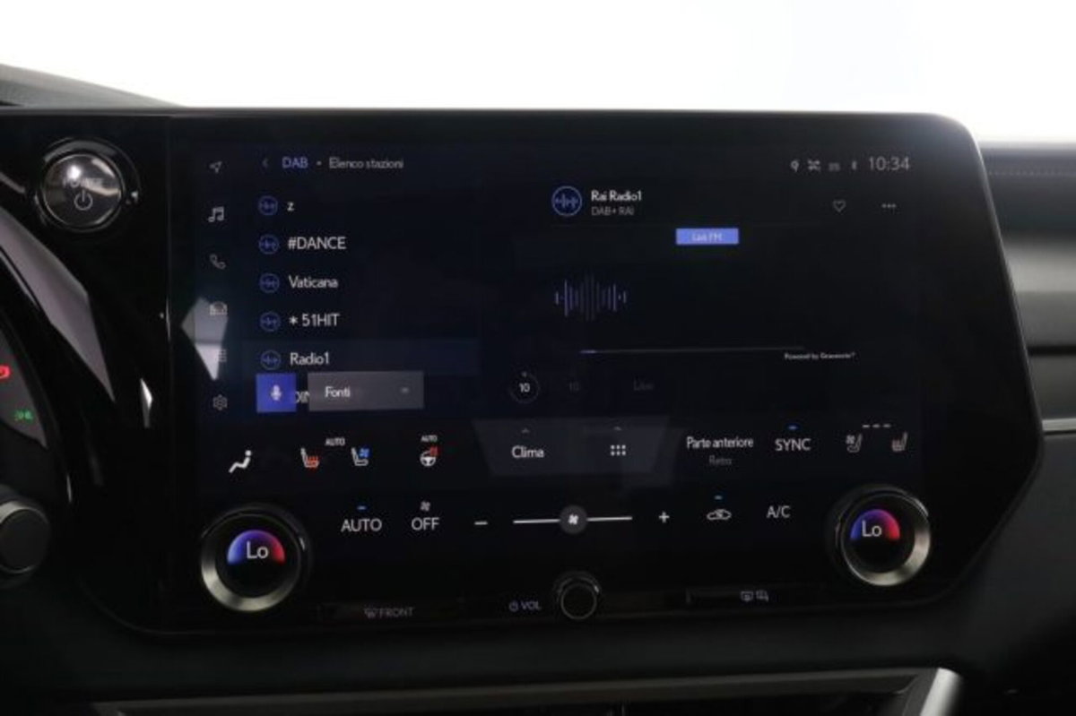 Lexus RX Hybrid Luxury (11)