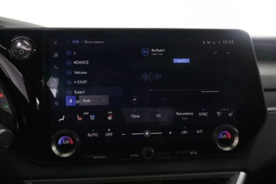 Lexus RX Hybrid Luxury (11)