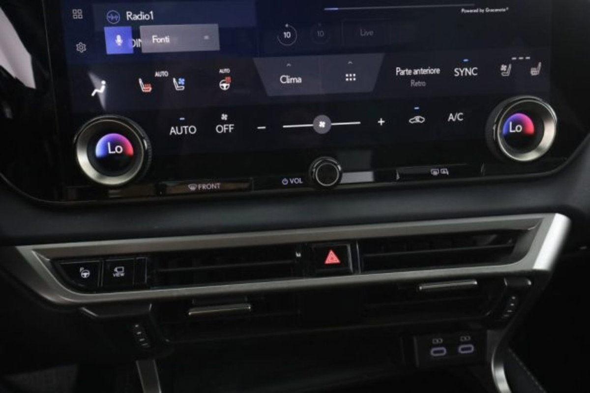 Lexus RX Hybrid Luxury (13)