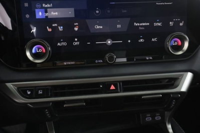 Lexus RX Hybrid Luxury (13)