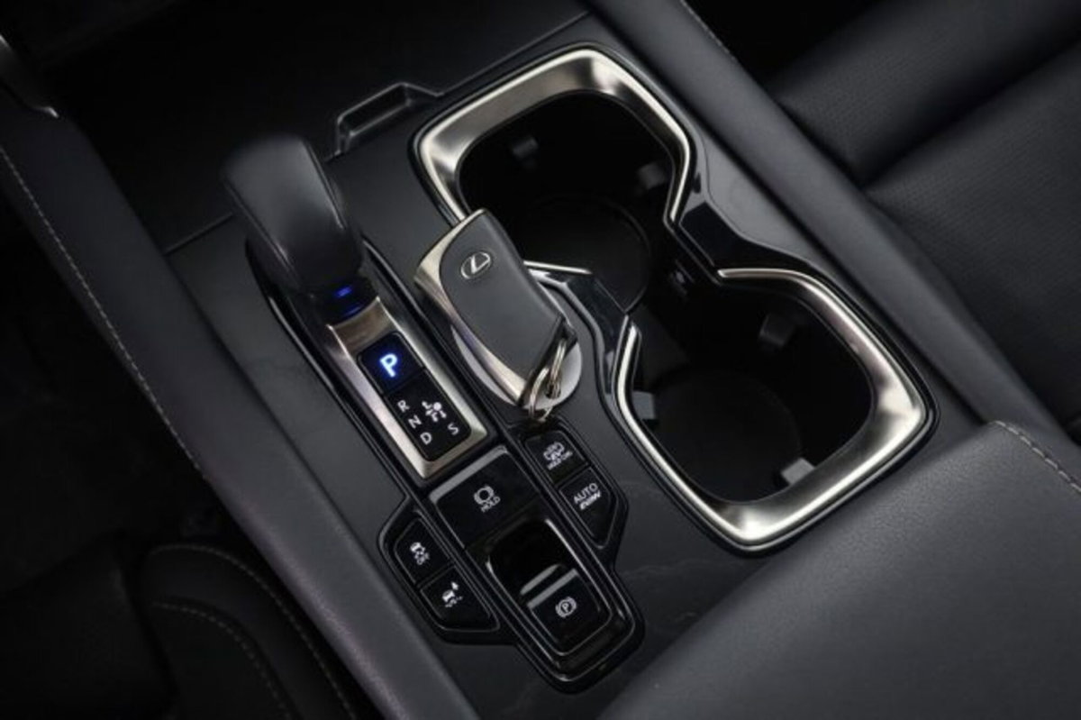 Lexus RX Hybrid Luxury (14)