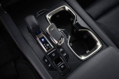 Lexus RX Hybrid Luxury (14)