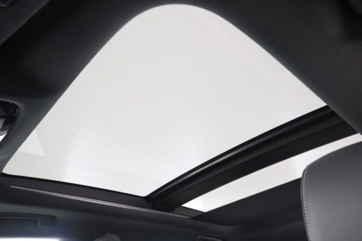 Lexus RX Hybrid Luxury (15)