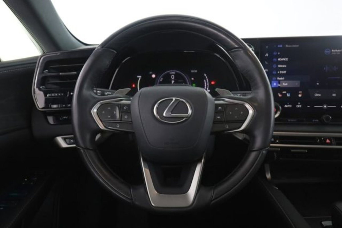Lexus RX Hybrid Luxury (5)