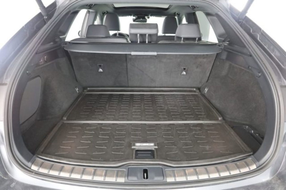 Lexus RX Hybrid Luxury (6)