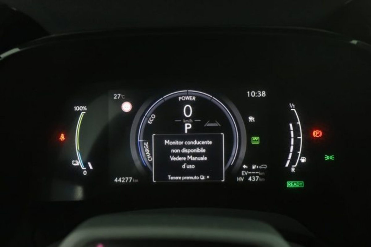 Lexus RX Hybrid Luxury (7)