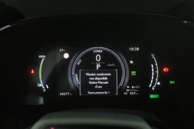 Lexus RX Hybrid Luxury (7)