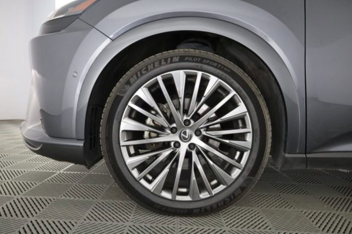 Lexus RX Hybrid Luxury (8)