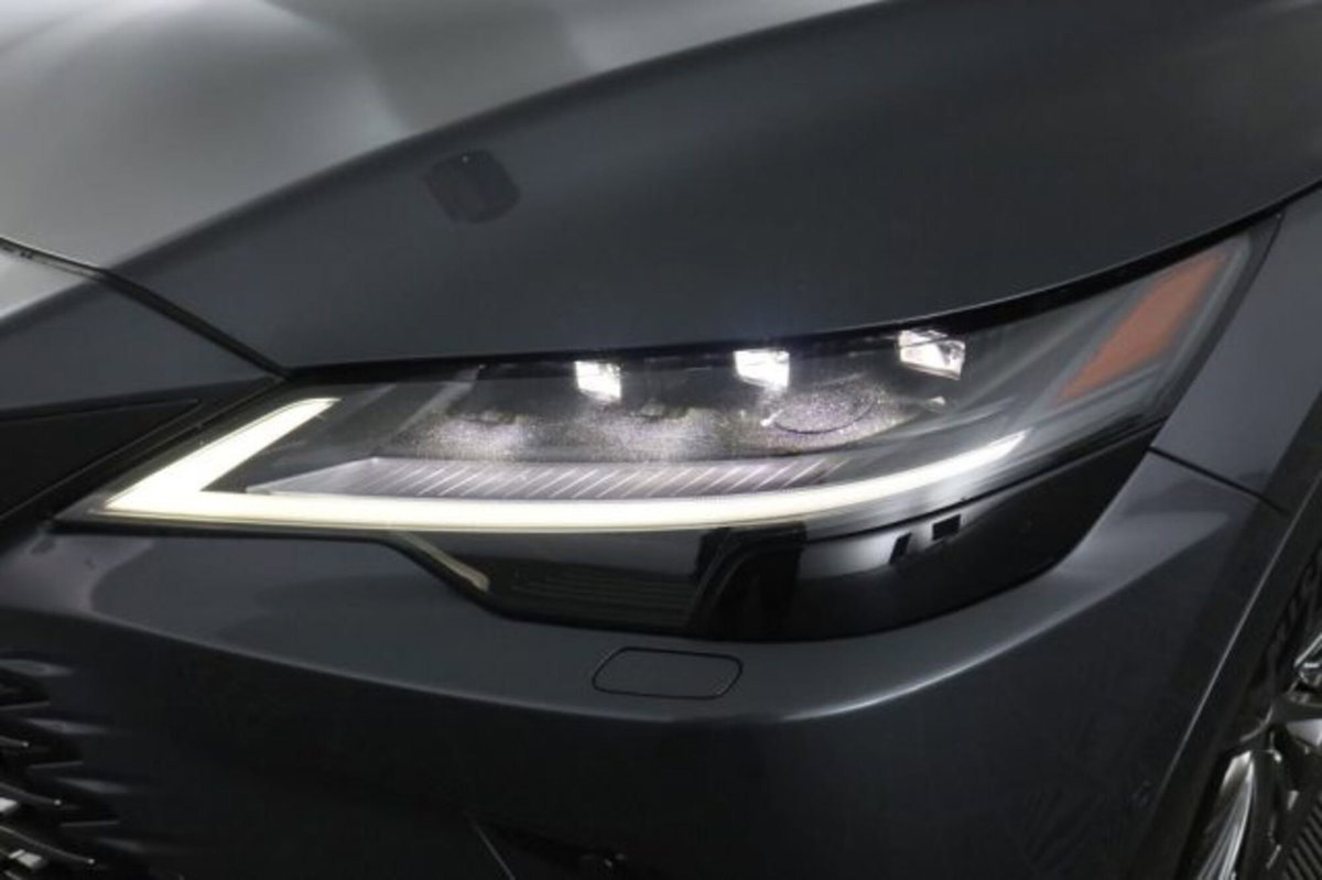 Lexus RX Hybrid Luxury (9)