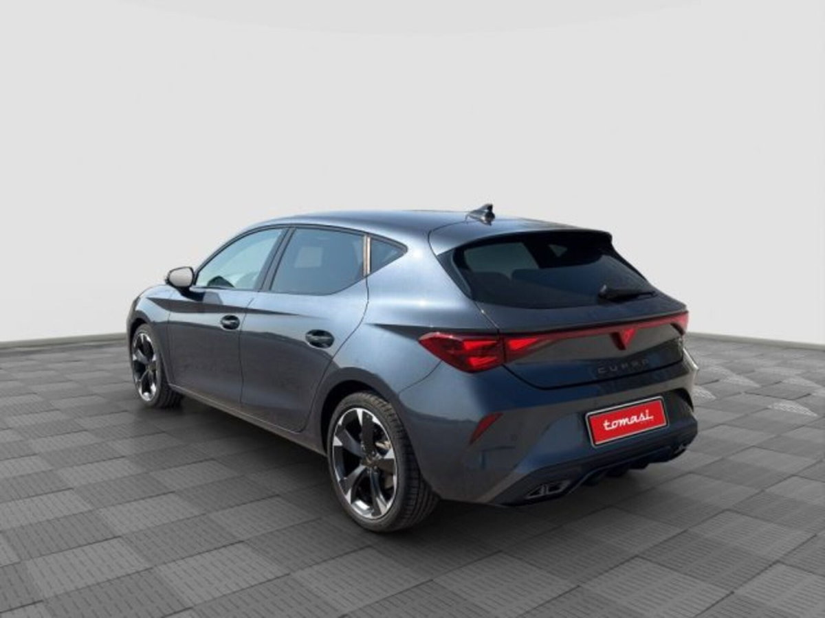 Cupra Leon Leon 2.0 tdi 150cv dsg (3)