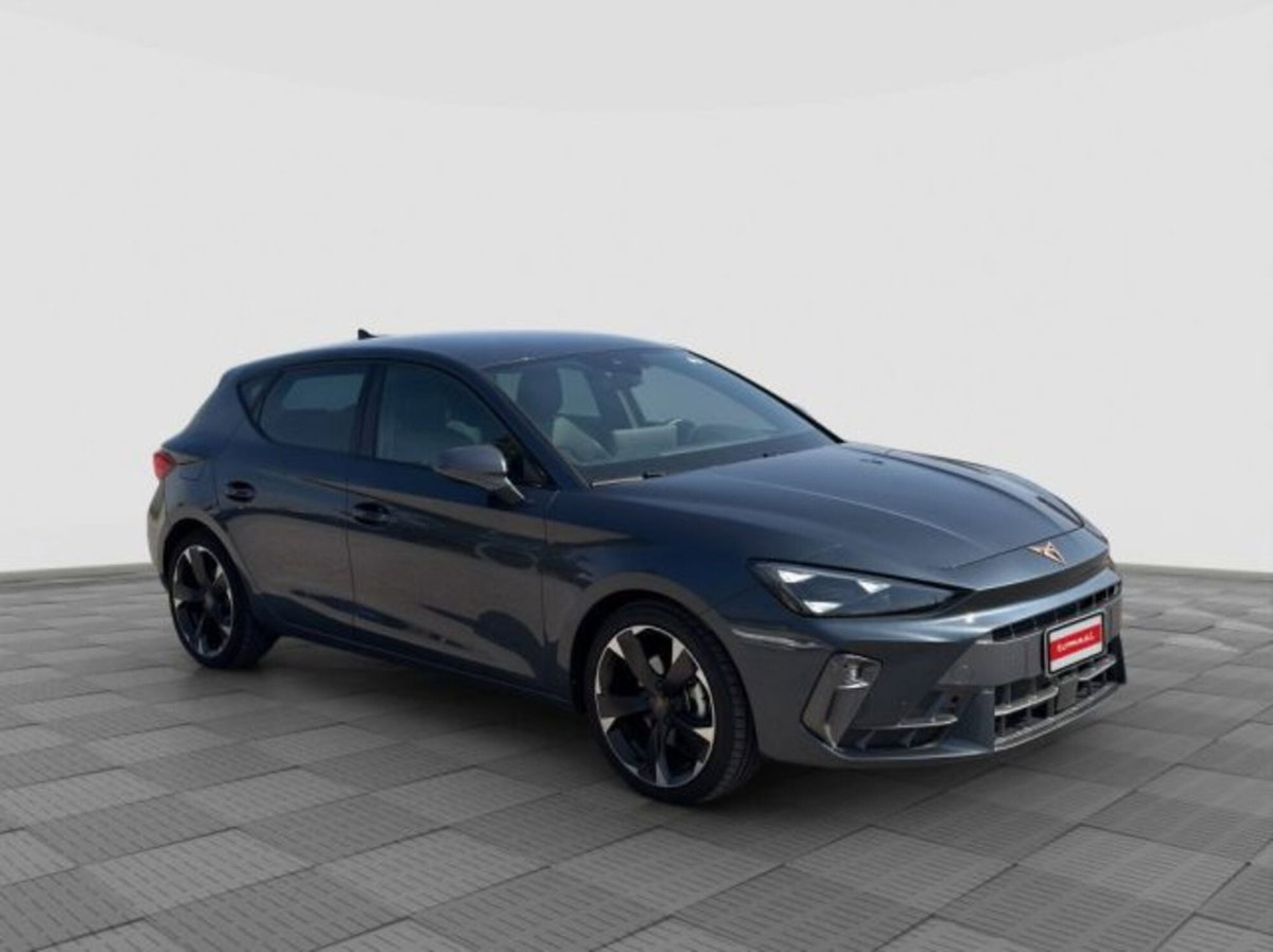 Cupra Leon Leon 2.0 tdi 150cv dsg (7)