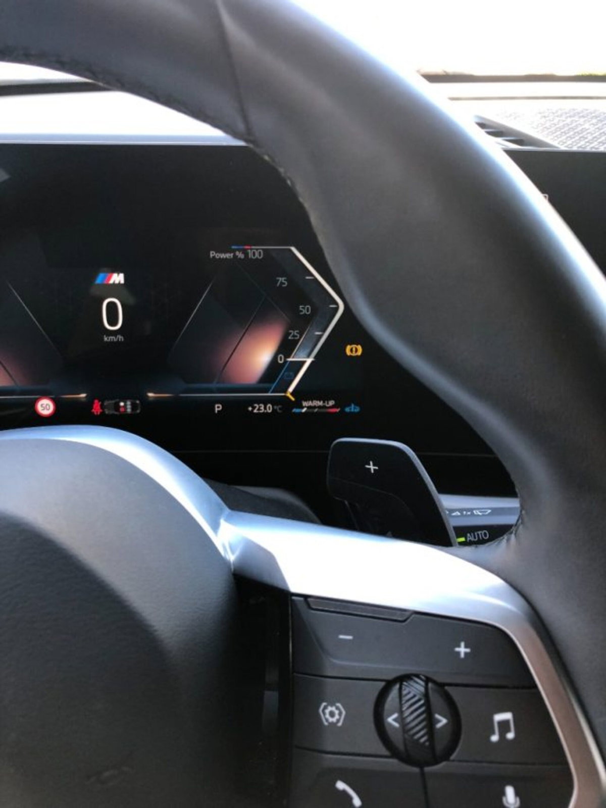 BMW X2 sdrive 18d MSport auto (15)