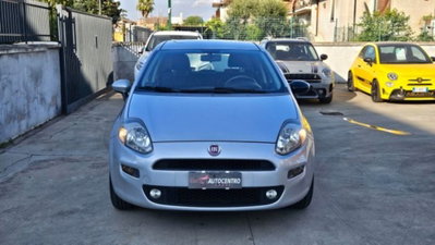 Fiat Punto 1.2 8V 5 porte Street (2)