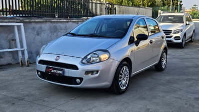 Fiat Punto 1.2 8V 5 porte Street (3)