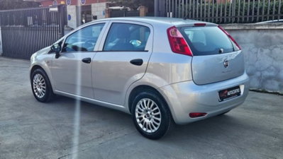 Fiat Punto 1.2 8V 5 porte Street (4)