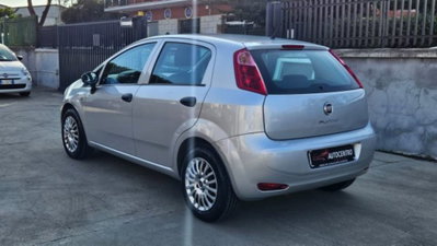 Fiat Punto 1.2 8V 5 porte Street (5)