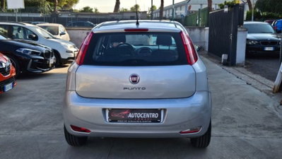 Fiat Punto 1.2 8V 5 porte Street (6)