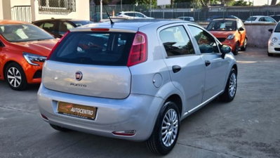 Fiat Punto 1.2 8V 5 porte Street (7)