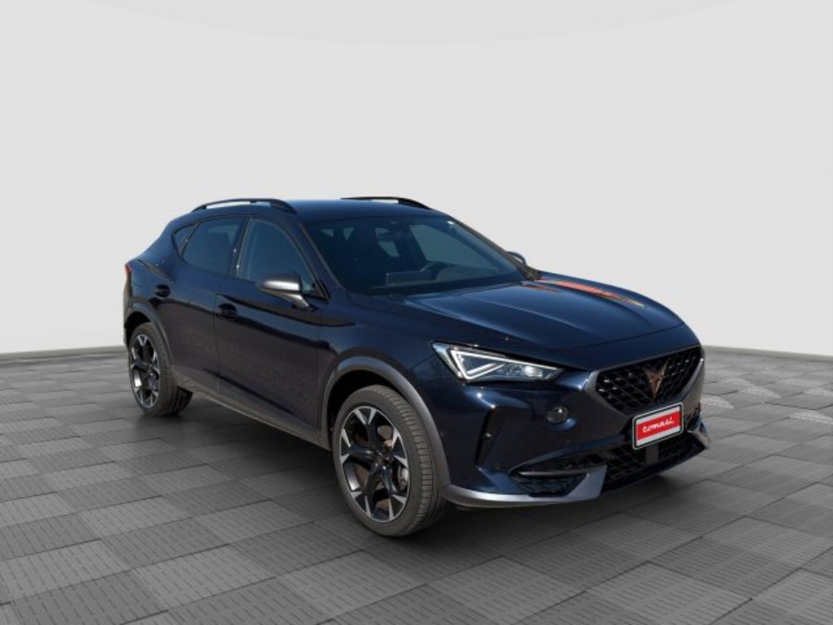 Cupra Formentor Formentor 1.5 TSI (7)