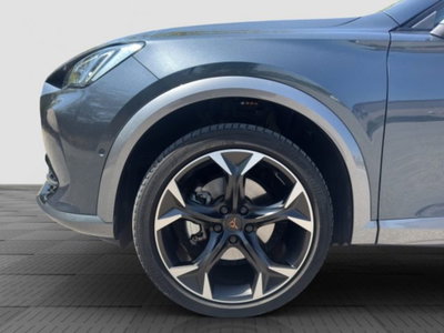 Cupra Formentor Formentor 1.5 TSI (15)
