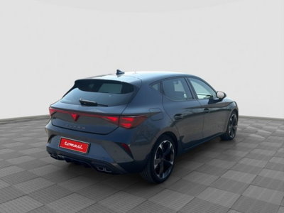 Cupra Leon Leon 2.0 tdi 150cv dsg (5)