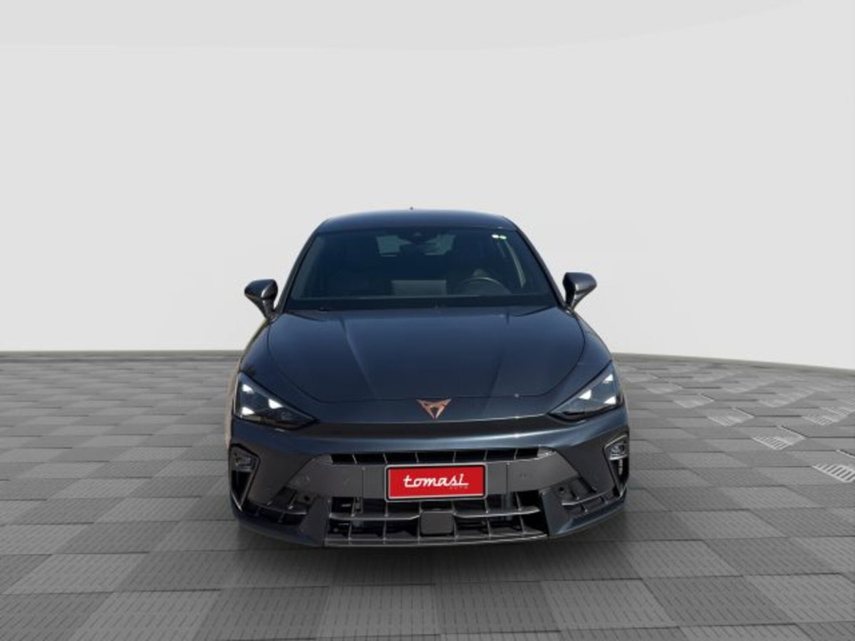 Cupra Leon Leon 2.0 tdi 150cv dsg (8)