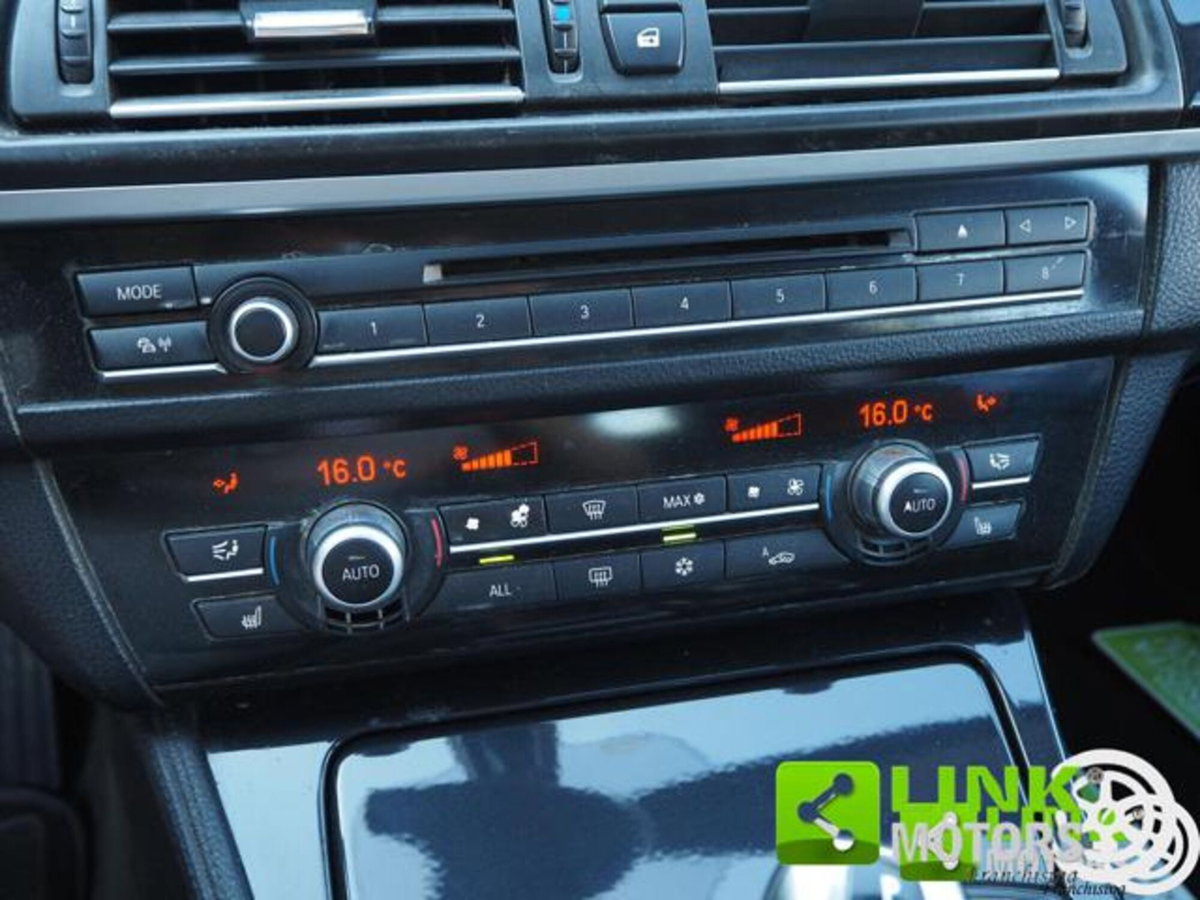 BMW Serie 5 Touring 520d  Eletta (14)