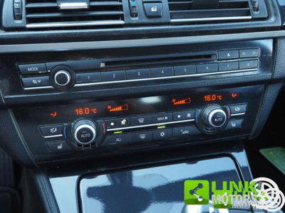 BMW Serie 5 Touring 520d  Eletta (14)
