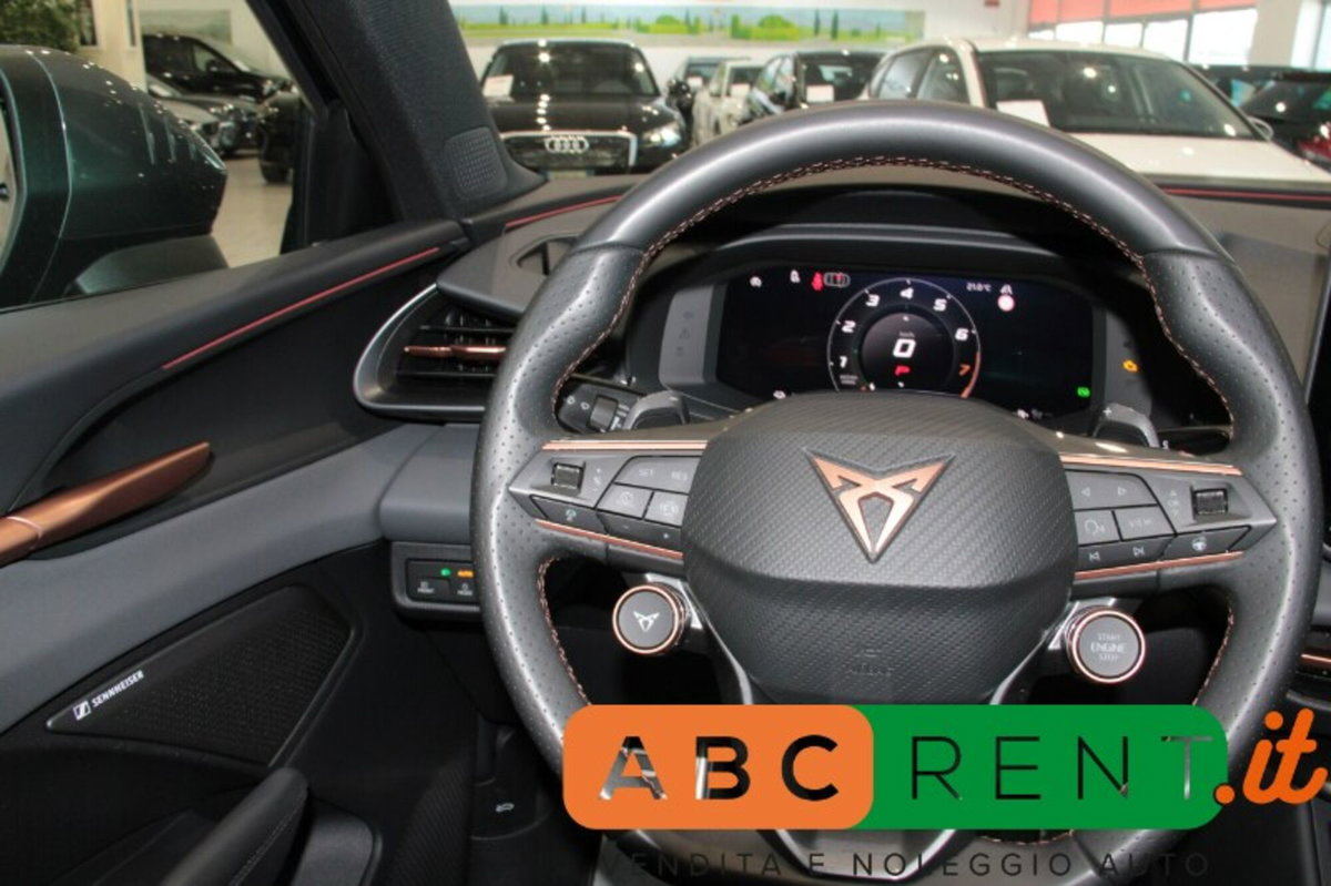 Cupra Terramar 1.5 e-hybrid Impulse 204cv dsg (12)