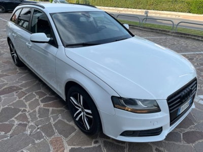 Audi A4 Avant 2.0 TDI 143 CV F.AP. multitronic (12)