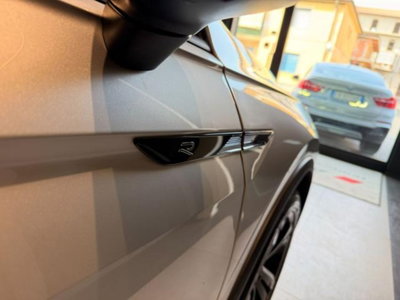 Volkswagen Tiguan 2.0 TDI 150 CV SCR DSG 4MOTION R-Line (19)