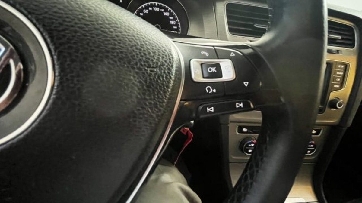 Volkswagen Golf Variant 1.6 TDI 110 CV DSG Comfortline BlueMotion Tech. (15)