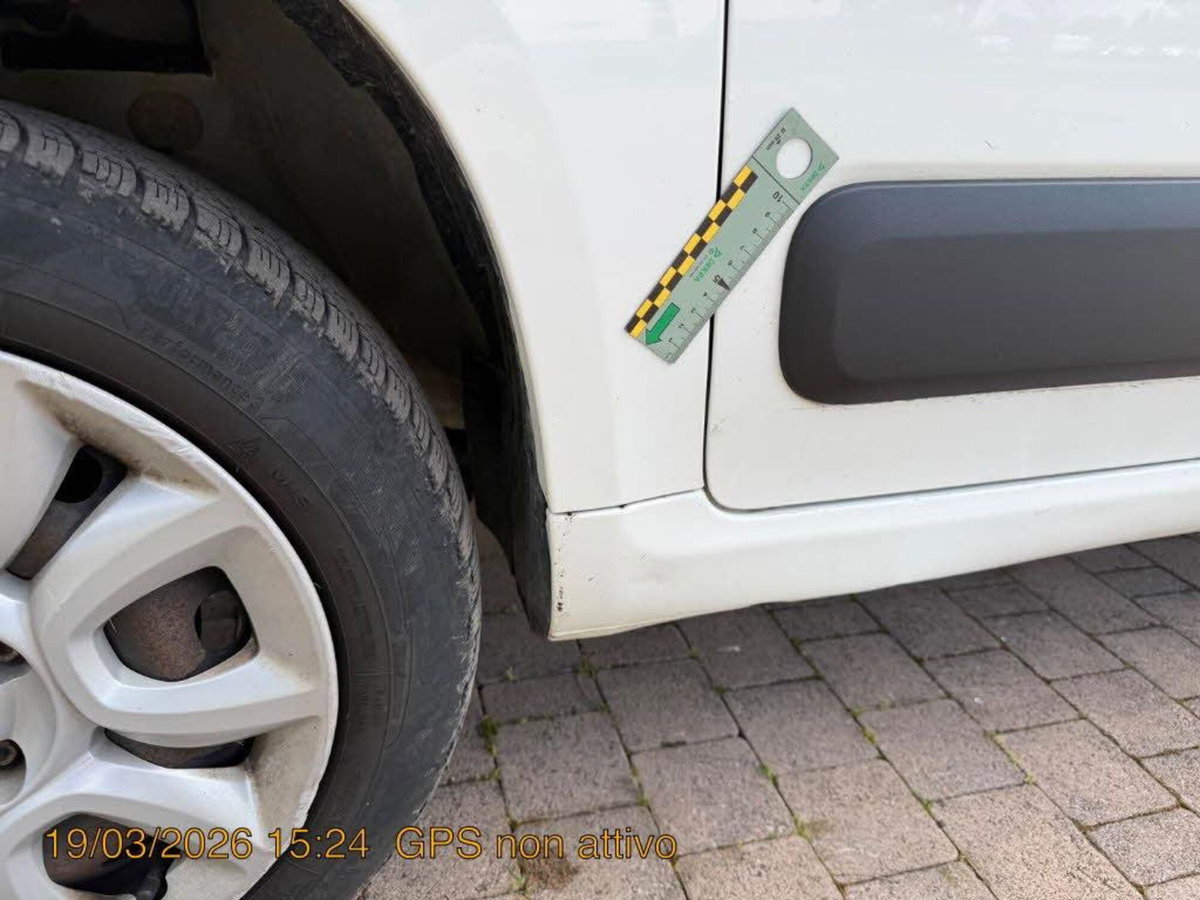 Fiat Panda van 0.9 Pop 85cv 4x4 2p.ti serie 4 E6d (6)