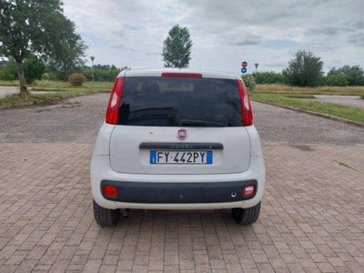 Fiat Panda van 0.9 Pop 85cv 4x4 2p.ti serie 4 E6d (5)