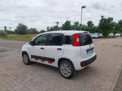 Fiat Panda van 0.9 Pop 85cv 4x4 2p.ti serie 4 E6d (7)