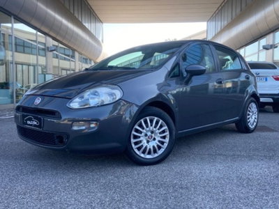 Fiat Punto 1.2 8V 5 porte Street