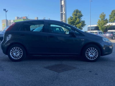 Fiat Punto 1.2 8V 5 porte Street (7)